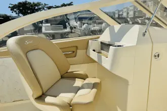 Thumbnail von Scout 240 Dorado