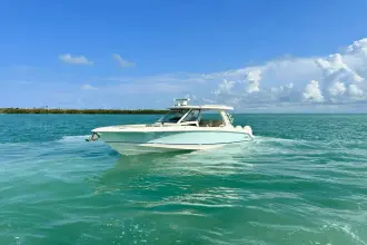 Thumbnail von Boston Whaler 350 Realm