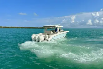 Thumbnail von Boston Whaler 350 Realm