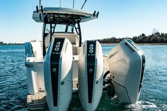 Thumbnail von Scout 377 LXF