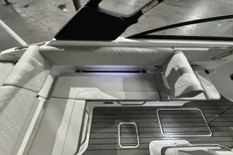 Thumbnail von Sea Ray SDX 250 Surf