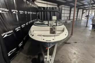 Thumbnail von Sea Ray SDX 250 Surf