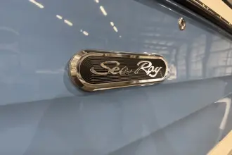 Thumbnail von Sea Ray SDX 250 Surf