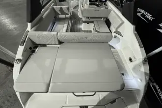 Thumbnail von Sea Ray SDX 250 Surf