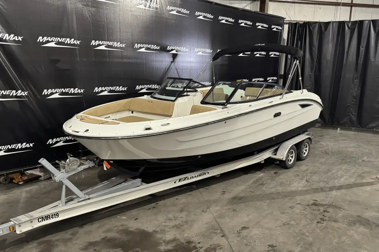 Sea Ray SDX 250