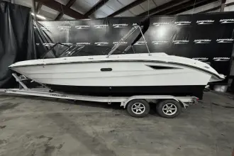 Thumbnail von Sea Ray SDX 250