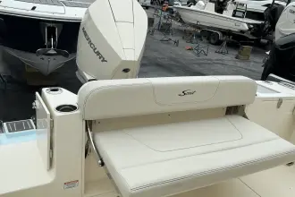 Thumbnail von Scout 240 XSF