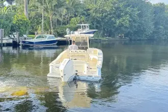 Thumbnail von Scout 240 XSF