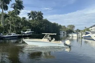 Thumbnail von Scout 240 XSF