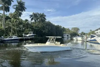 Thumbnail von Scout 240 XSF