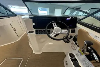 Thumbnail von Sea Ray SDX 250