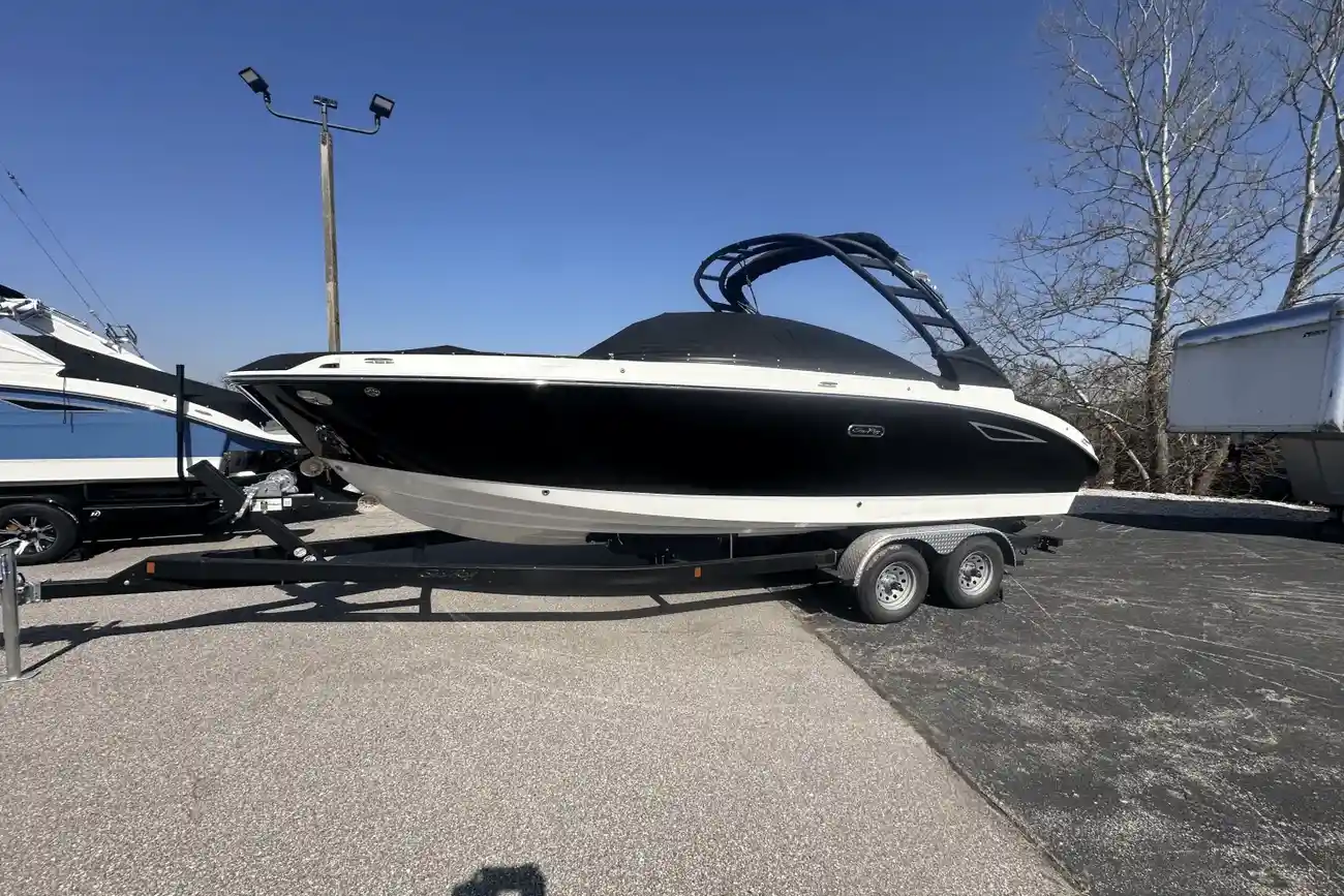 Sea Ray SDX 250