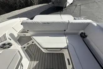 Thumbnail von Sea Ray SDX 250