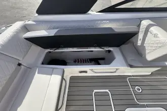 Thumbnail von Sea Ray SDX 250