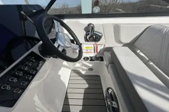 Thumbnail von Sea Ray SDX 250