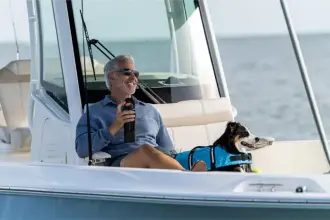 Thumbnail von Boston Whaler 280 Dauntless