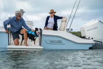 Thumbnail von Boston Whaler 280 Dauntless