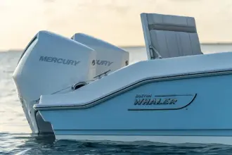Thumbnail von Boston Whaler 280 Dauntless