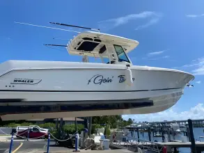 Thumbnail von Boston Whaler 330 Outrage