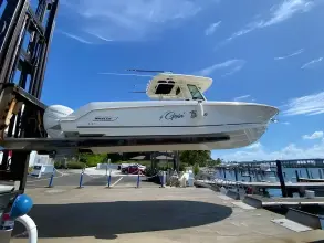 Thumbnail von Boston Whaler 330 Outrage