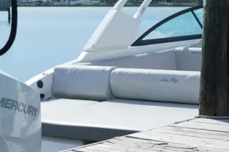 Thumbnail von Sea Ray SDX 270 Outboard