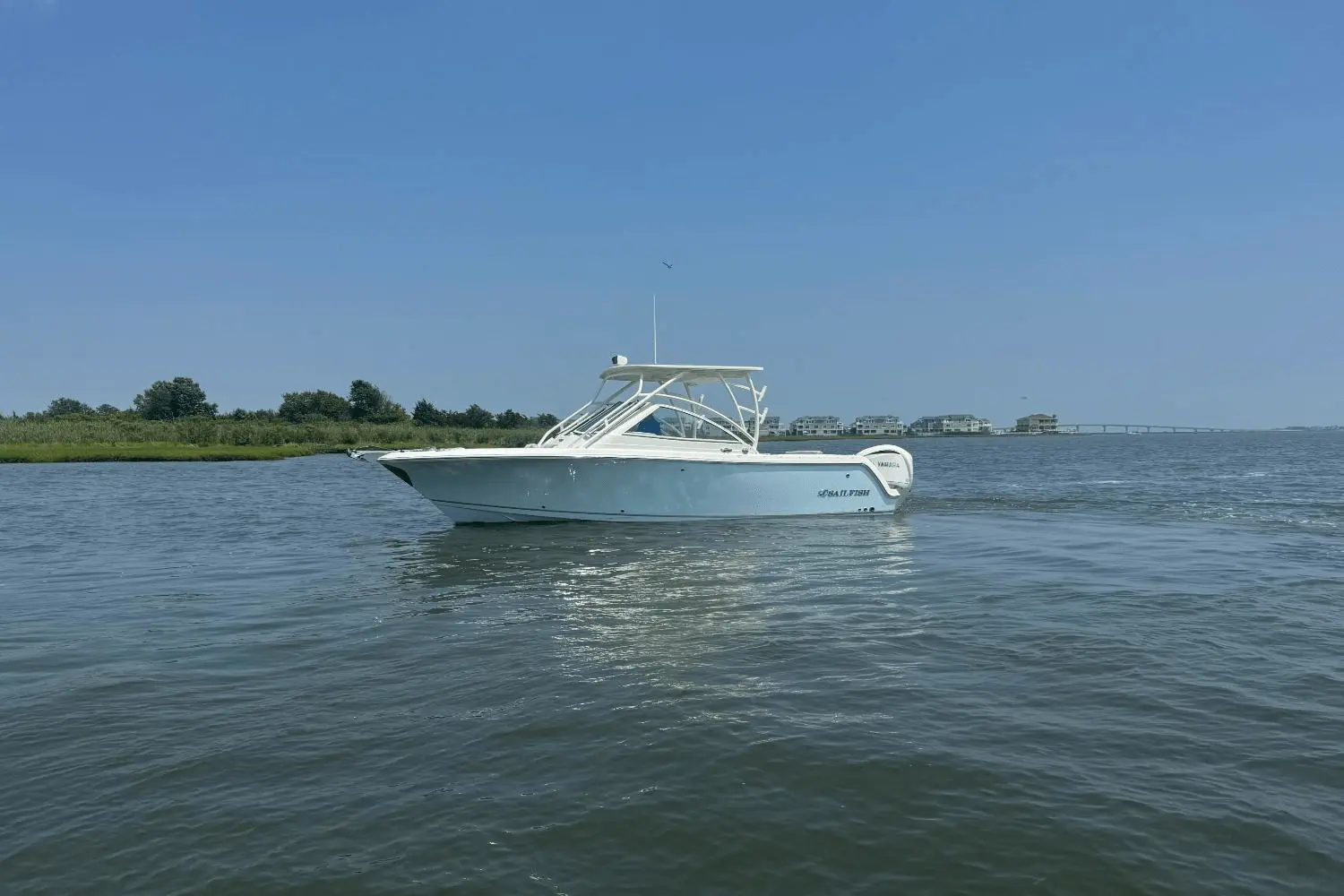 Sailfish 245 DC