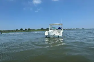 Thumbnail von Sailfish 245 DC