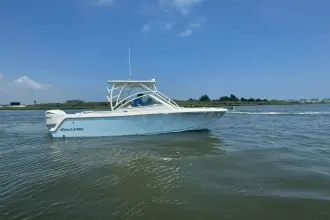 Thumbnail von Sailfish 245 DC