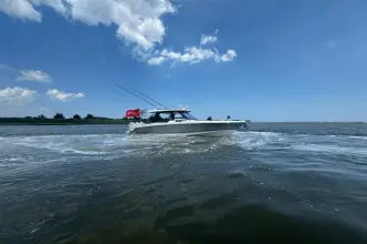 Thumbnail von Boston Whaler 350 Realm