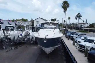 Thumbnail von Boston Whaler 365 Conquest