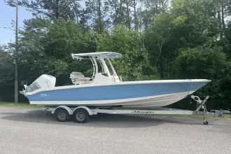 Thumbnail von Boston Whaler 250 Dauntless