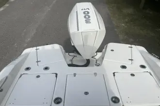 Thumbnail von Boston Whaler 250 Dauntless