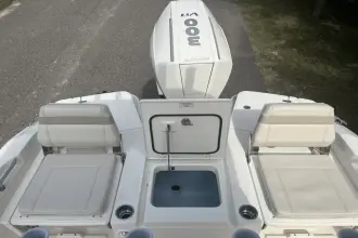 Thumbnail von Boston Whaler 250 Dauntless