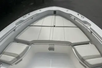 Thumbnail von Boston Whaler 250 Dauntless