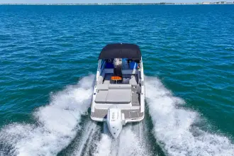 Thumbnail von Sea Ray SDX 270 Outboard