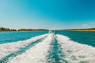 Thumbnail von Cruisers Yachts 34 GLS OB