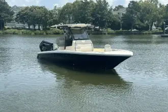 Thumbnail von Scout 261 XSS