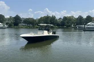 Thumbnail von Scout 261 XSS