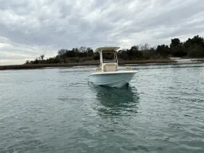 Thumbnail von Scout 231 XSB