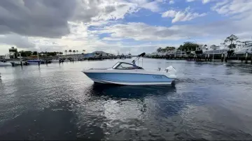 Thumbnail von Boston Whaler 210 Vantage