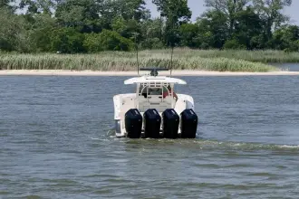 Thumbnail von Scout 400 LXF