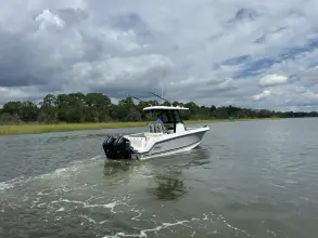 Thumbnail von Boston Whaler 250 Outrage