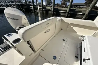 Thumbnail von Scout 240 XSF