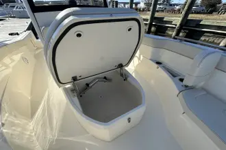 Thumbnail von Scout 240 XSF