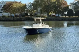 Thumbnail von Scout 240 XSF