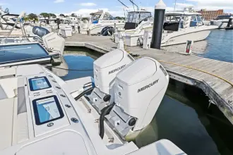 Thumbnail von Bertram 39 CC