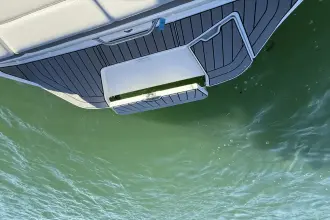 Thumbnail von Sea Ray SDX 250 Surf