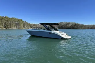 Thumbnail von Sea Ray SDX 250 Surf