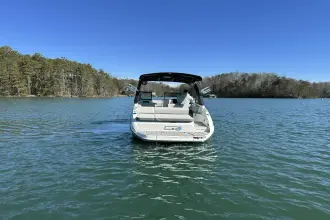 Thumbnail von Sea Ray SDX 250 Surf