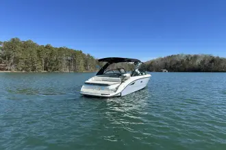 Thumbnail von Sea Ray SDX 250 Surf